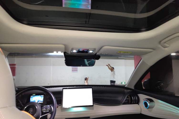 Used BYD Yuan PLUS 2023 Champion Edition 430KM Superior Model Headliner