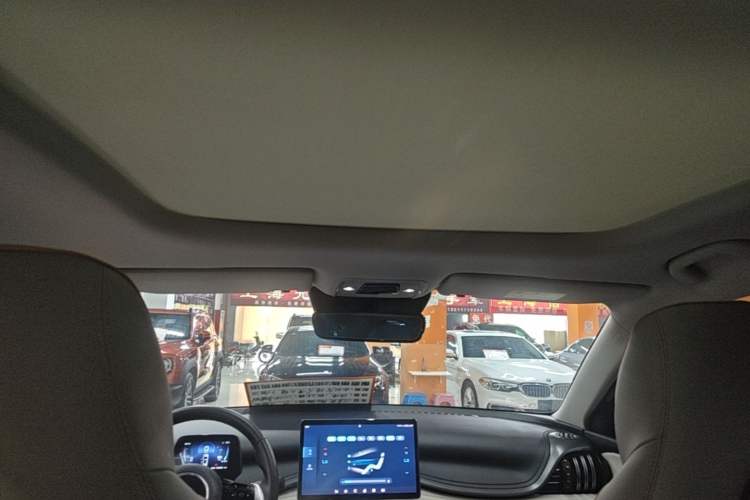 Used BYD Yuan PLUS 2023 Champion Edition 430KM Superior Model Headliner