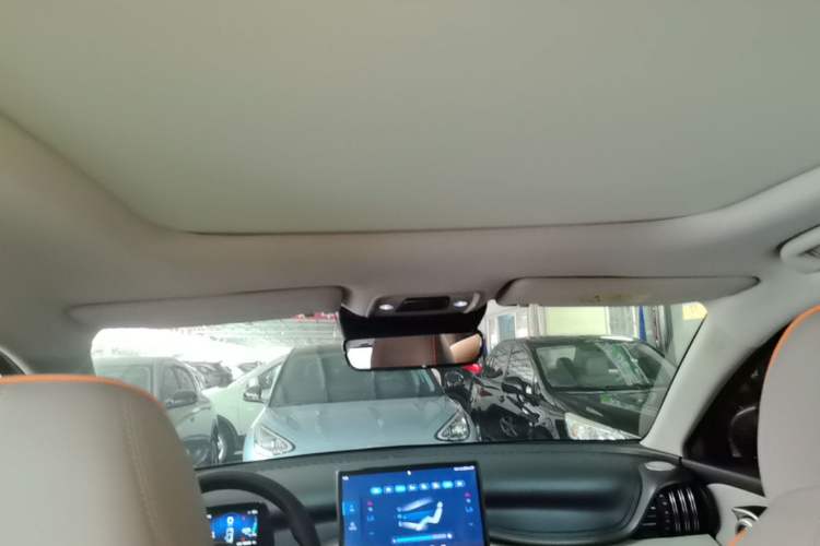 Used BYD Yuan PLUS 2023 Champion Edition 430KM Superior Model Headliner
