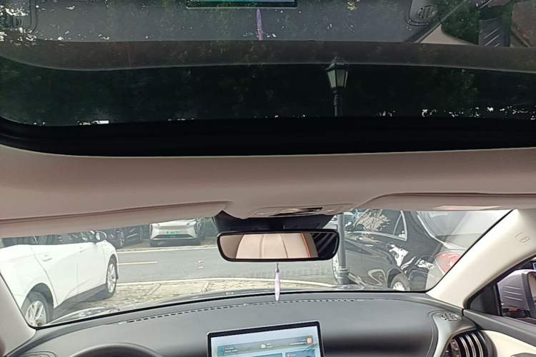 Used BYD Yuan PLUS 2023 Champion Edition 430KM Superior Model Headliner