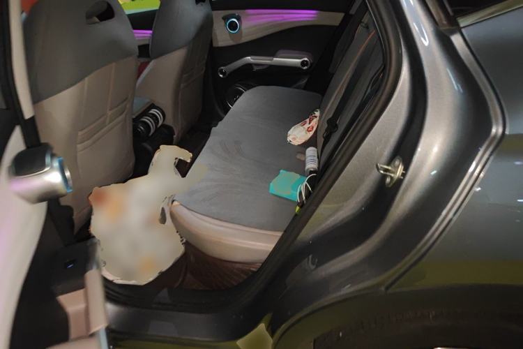 Used BYD Yuan PLUS 2023 Champion Edition 510KM Leading Model Left Rear Seat