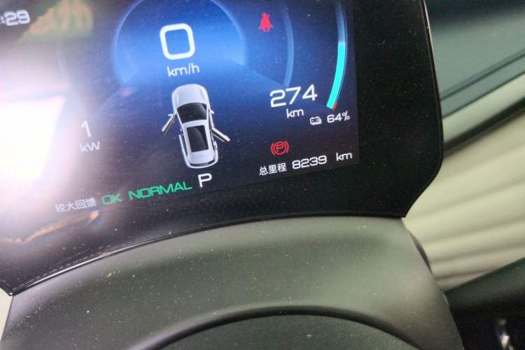 Used BYD Yuan PLUS 2023 Champion Edition 430KM Leading Model Odometer Close Up