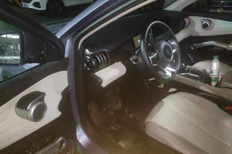 Used BYD Yuan PLUS 2023 Champion Edition 510KM Superior Model Driver Seat