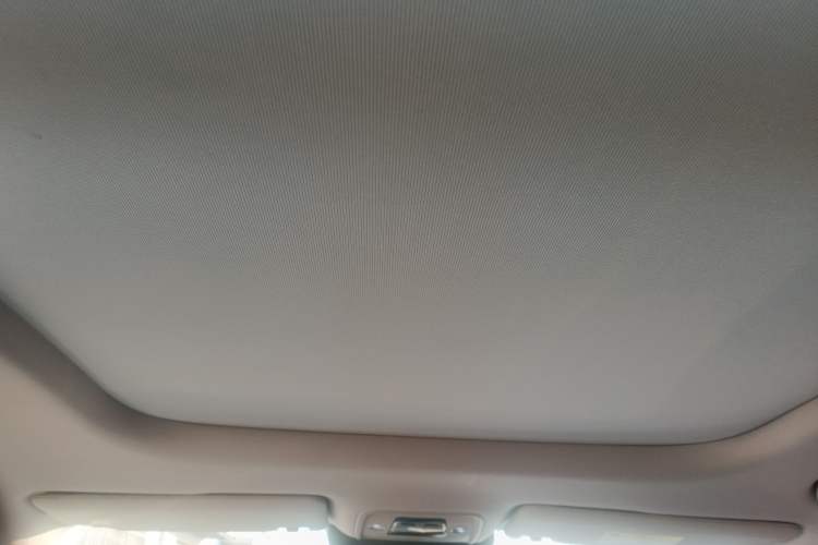 Used BYD Yuan PLUS 2023 Champion Edition 510KM Excellence Model Headliner