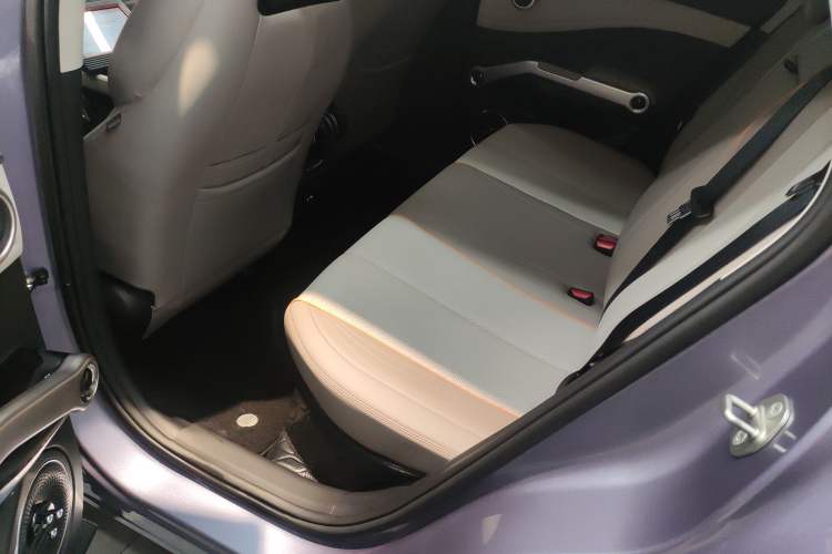 Used BYD Yuan PLUS 2023 Champion Edition 510KM Excellence Model Left Rear Seat
