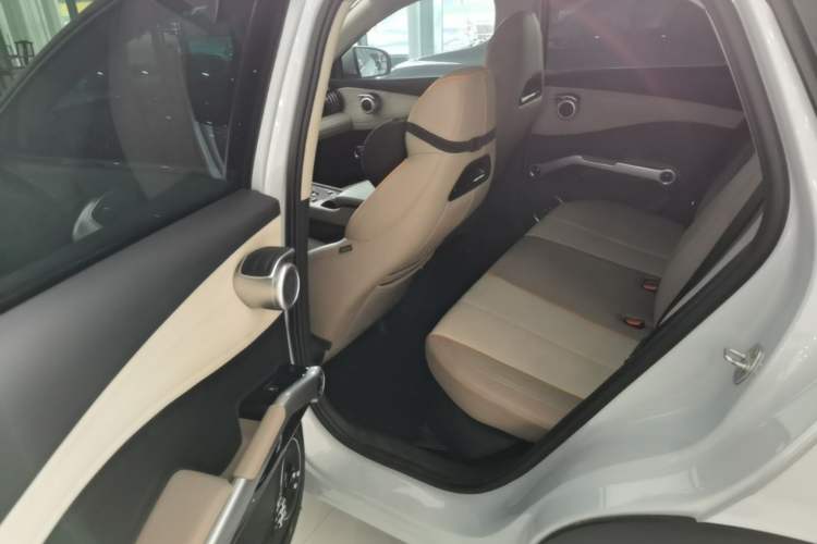 Used BYD Yuan PLUS 2023 Champion Edition 510KM Excellence Model Left Rear Seat