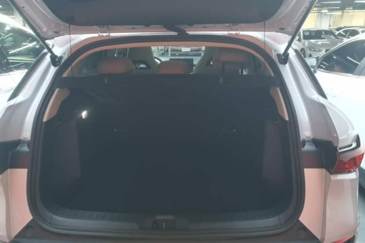 Used BYD Yuan PLUS 2023 Champion Edition 510KM Superior Model Trunk