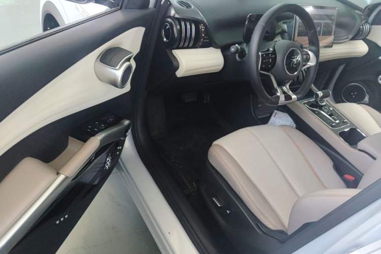 Used BYD Yuan PLUS 2023 Champion Edition 510KM Superior Model Driver Seat