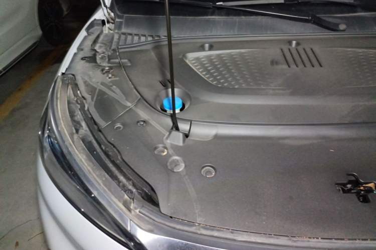 Used BYD Yuan PLUS 2023 Champion Edition 510KM Excellence Model Engine Bay Right