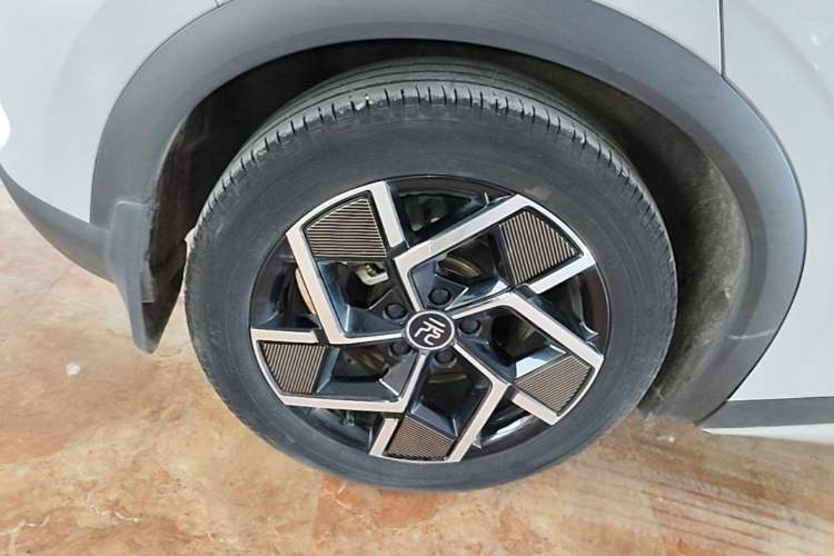 Used BYD Yuan PLUS 2023 Champion Edition 510KM Superior Model Exterior 5