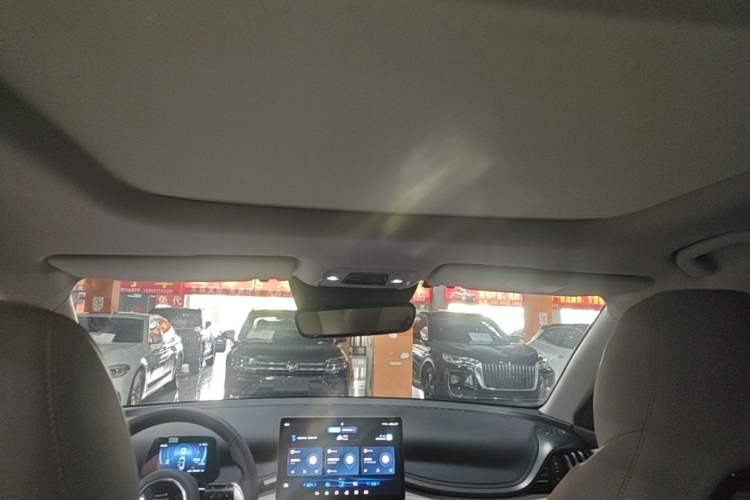 Used BYD Yuan PLUS 2023 Champion Edition 510KM Superior Model Headliner