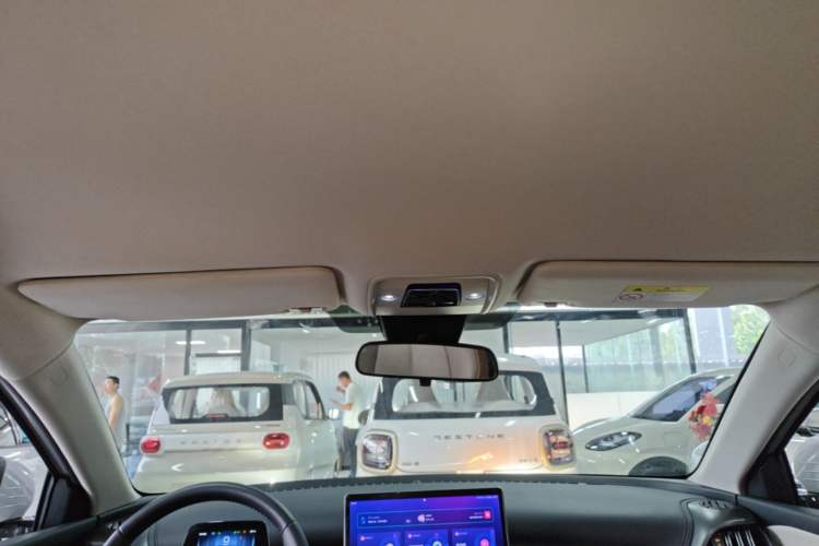Used BYD Yuan PLUS 2023 Champion Edition 430KM Leading Model Headliner