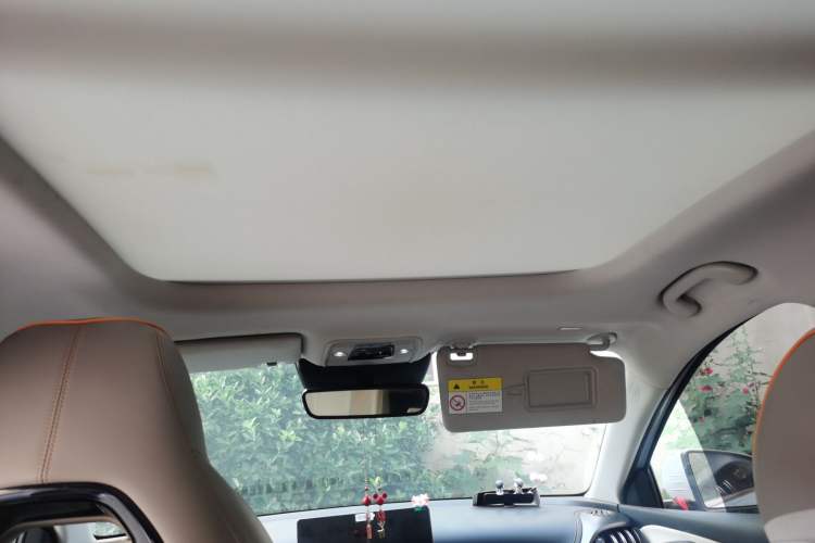Used BYD Yuan PLUS 2023 Champion Edition 430KM Superior Model Headliner