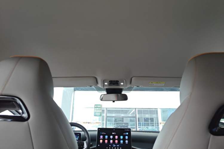 Used BYD Yuan PLUS 2023 Champion Edition 430KM Leading Model Headliner