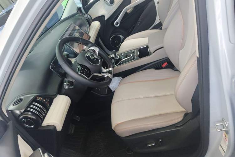 Used BYD Yuan PLUS 2023 Champion Edition 510KM Superior Model Left Front Seat