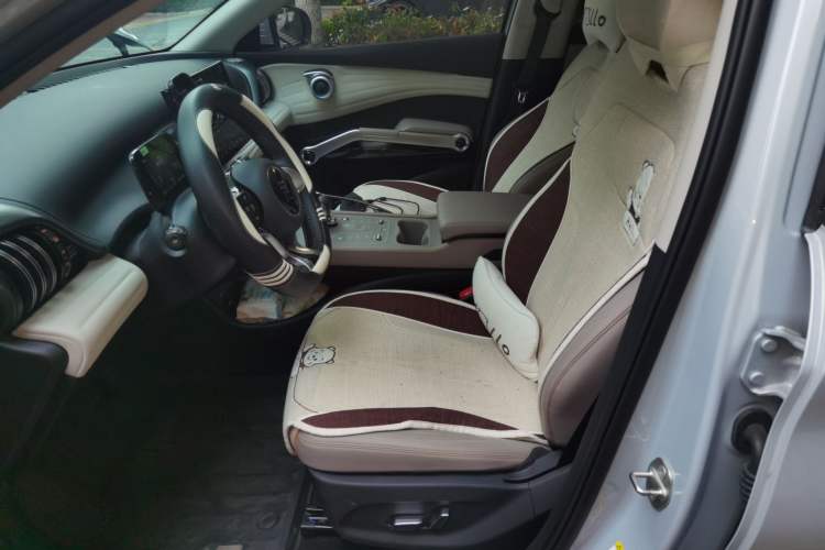 Used BYD Yuan PLUS 2023 Champion Edition 510KM Superior Model Left Front Seat