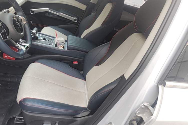 Used BYD Yuan PLUS 2023 Champion Edition 510KM Superior Model Left Front Seat