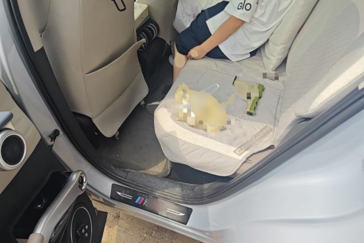 Used BYD Yuan PLUS 2023 Champion Edition 510KM Superior Model Left Rear Seat