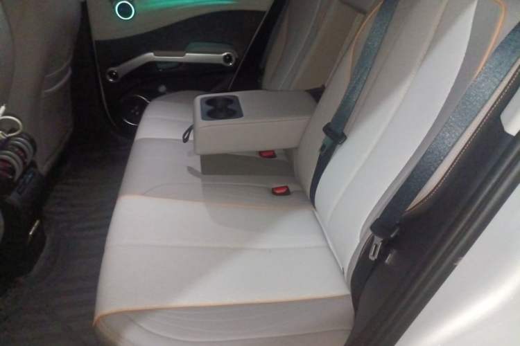 Used BYD Yuan PLUS 2023 Champion Edition 510KM Excellence Model Left Rear Seat