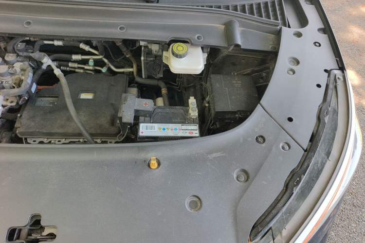 Used BYD Yuan PLUS 2024 Honor Edition 510KM Leading Model Engine Bay Left