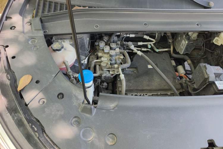 Used BYD Yuan PLUS 2024 Honor Edition 510KM Leading Model Engine Bay Right