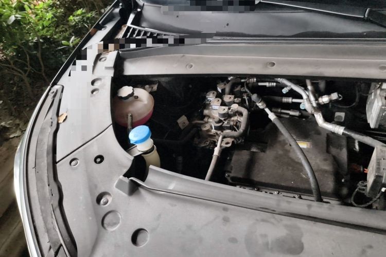 Used BYD Yuan PLUS 2024 Honor Edition 430KM Beyond Model Engine Bay Right