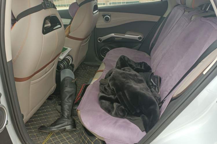 Used BYD Yuan PLUS 2024 Honor Edition 430KM Leading Model Left Rear Seat
