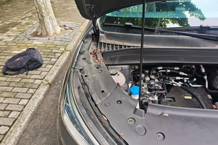 Used BYD Yuan PLUS 2024 Honor Edition 430KM Beyond Model Engine Bay Right