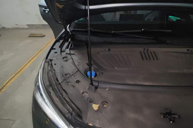 Used BYD Yuan PLUS 2024 Honor Edition 510KM Beyond Model Engine Bay Right