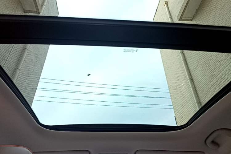 Used BYD Yuan PLUS 2024 Honor Edition 510KM Excellence Model Headliner