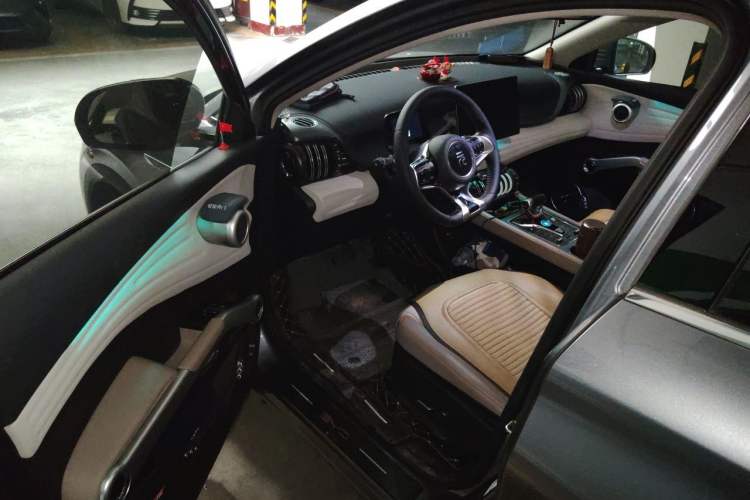 Used BYD Yuan PLUS 2024 Honor Edition 510KM Leading Model Driver Seat
