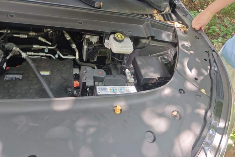 Used BYD Yuan PLUS 2024 Honor Edition 430KM Beyond Model Engine Bay Left