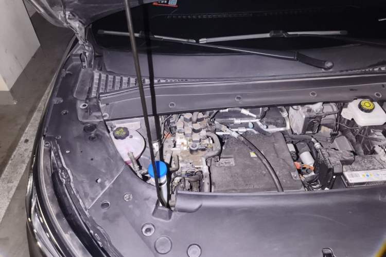 Used BYD Yuan PLUS 2024 Honor Edition 430KM Leading Model Engine Bay Right