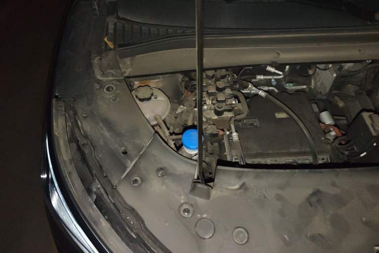 Used BYD Yuan PLUS 2024 Honor Edition 510KM Leading Model Engine Bay Right