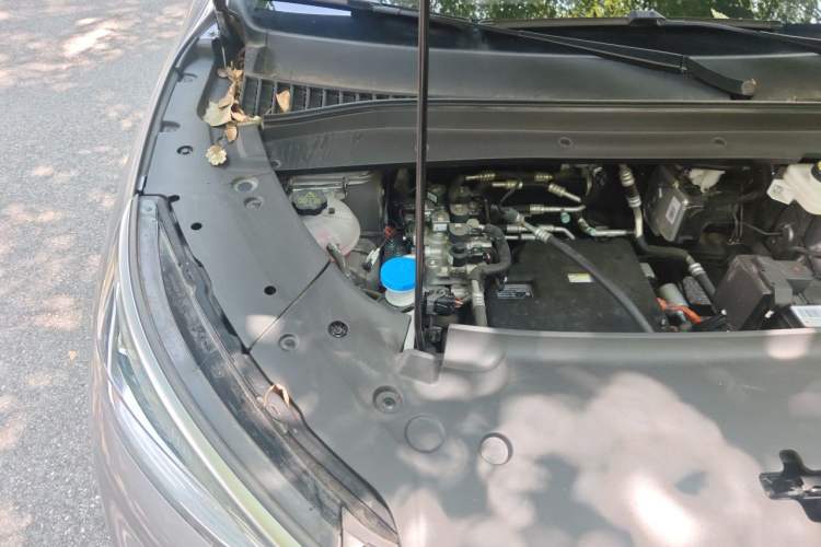 Used BYD Yuan PLUS 2024 Honor Edition 430KM Beyond Model Engine Bay Right