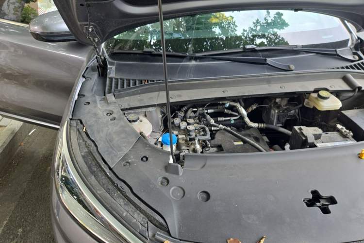 Used BYD Yuan PLUS 2024 Honor Edition 510KM Leading Model Engine Bay Right