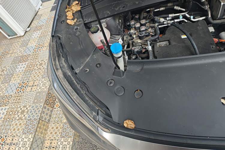 Used BYD Yuan PLUS 2024 Honor Edition 510KM Leading Model Engine Bay Right