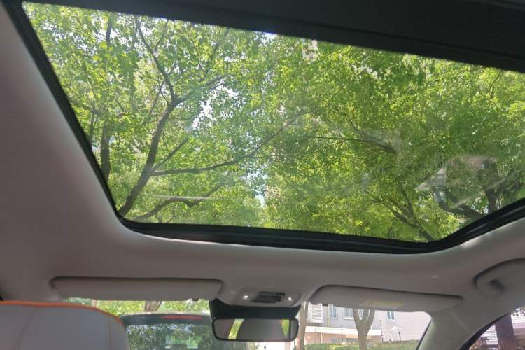 Used BYD Yuan PLUS 2024 Honor Edition 430KM Beyond Model Headliner
