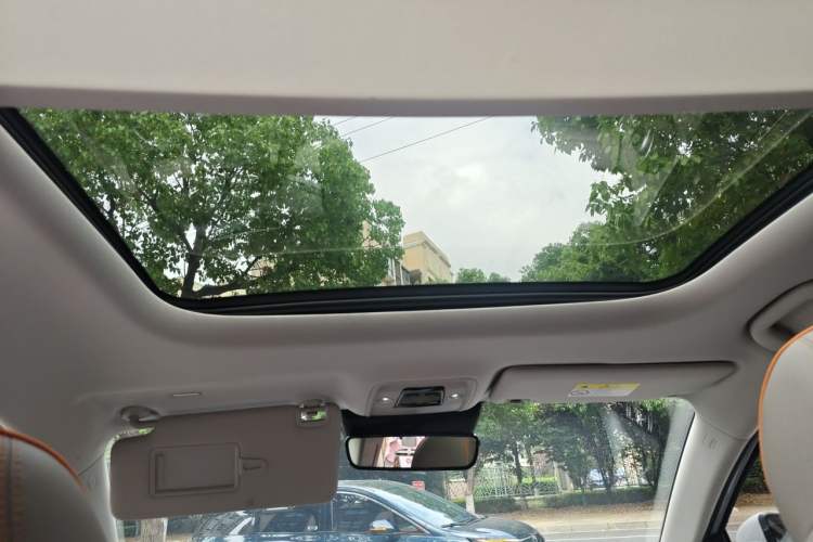 Used BYD Yuan PLUS 2024 Honor Edition 430KM Beyond Model Headliner