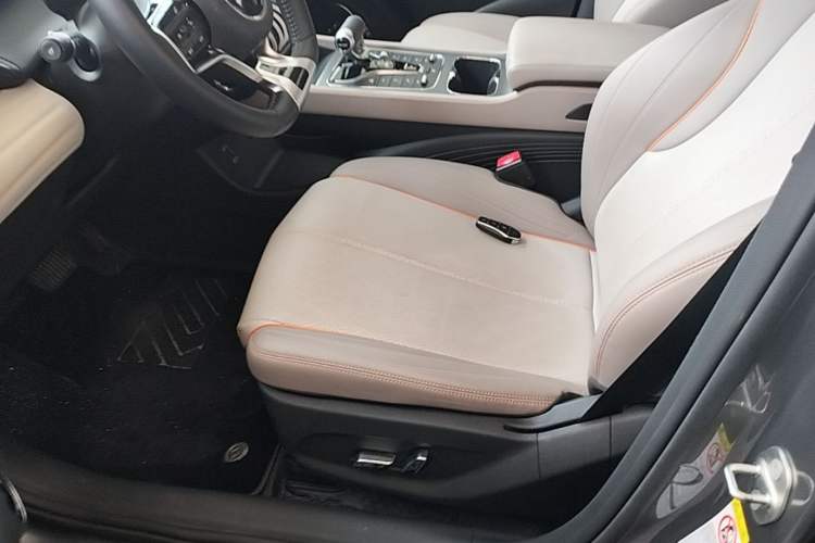 Used BYD Yuan PLUS 2024 Honor Edition 430KM Leading Model Left Front Seat