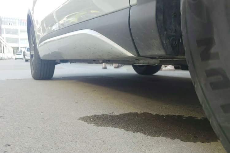 Used BYD Yuan PLUS 2024 Honor Edition 510KM Leading Model Right Side Sill