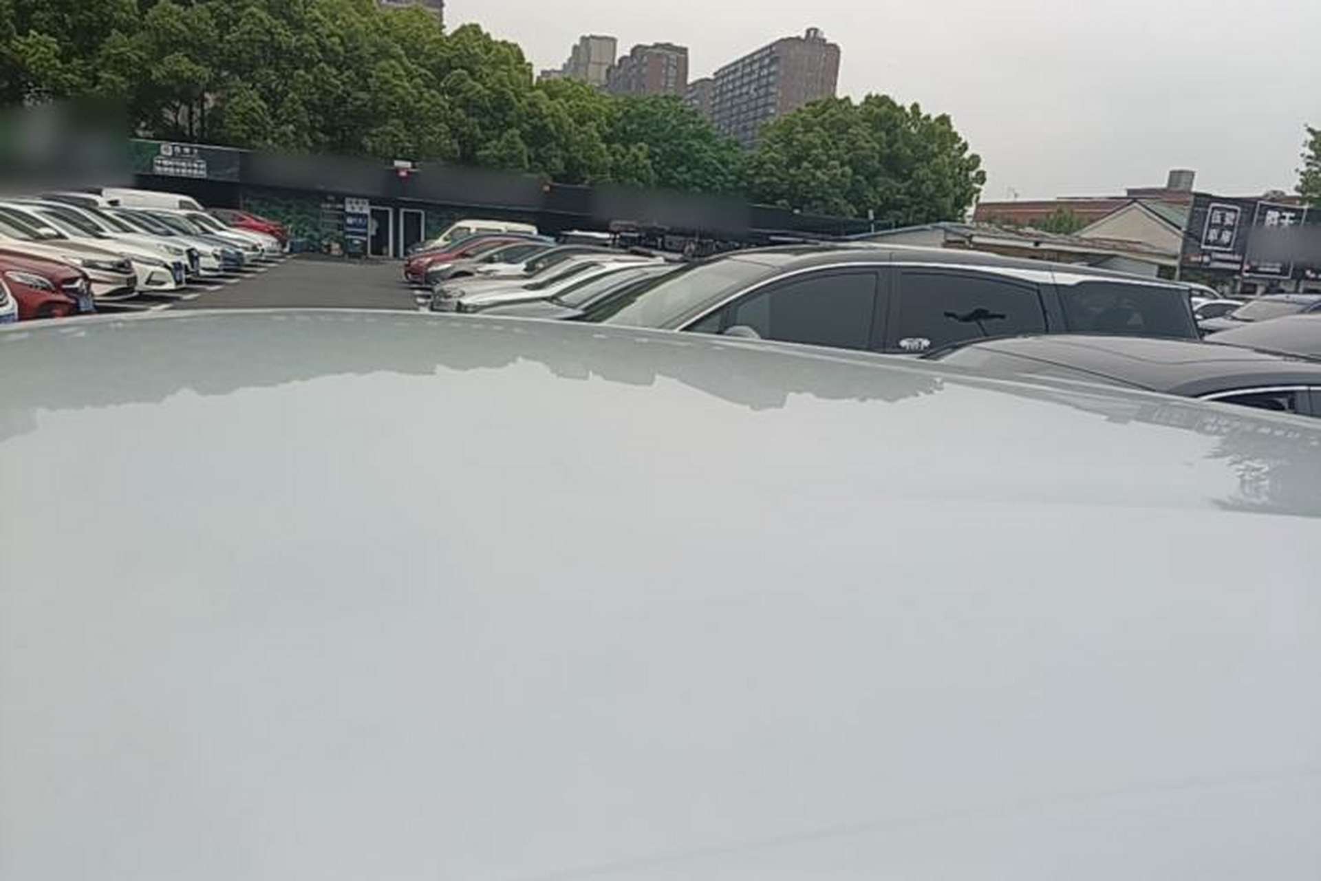 Used BYD Yuan PLUS 2024 Honor Edition 510KM Leading Model Roof