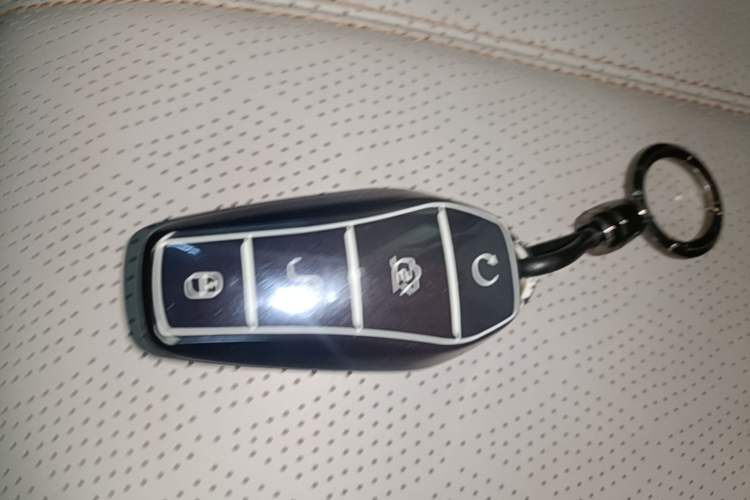 Used BYD Yuan PLUS 2024 Honor Edition 430KM Beyond Model Vehicle Key