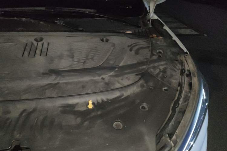 Used BYD Yuan PLUS 2024 Honor Edition 510KM Beyond Model Engine Bay Left