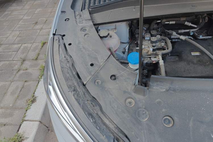 Used BYD Yuan PLUS 2024 Honor Edition 430KM Leading Model Engine Bay Right