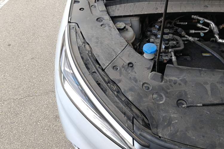 Used BYD Yuan PLUS 2024 Honor Edition 430KM Beyond Model Engine Bay Right