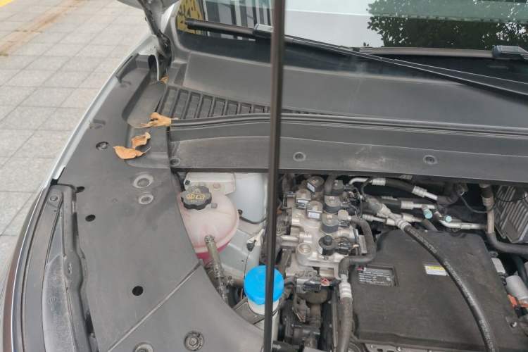 Used BYD Yuan PLUS 2024 Honor Edition 510KM Leading Model Engine Bay Right