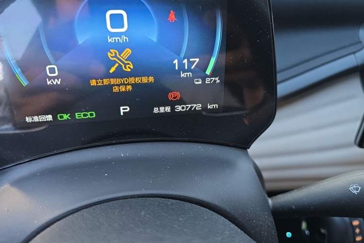 Used BYD Yuan PLUS 2024 Honor Edition 430KM Leading Model Odometer Close Up