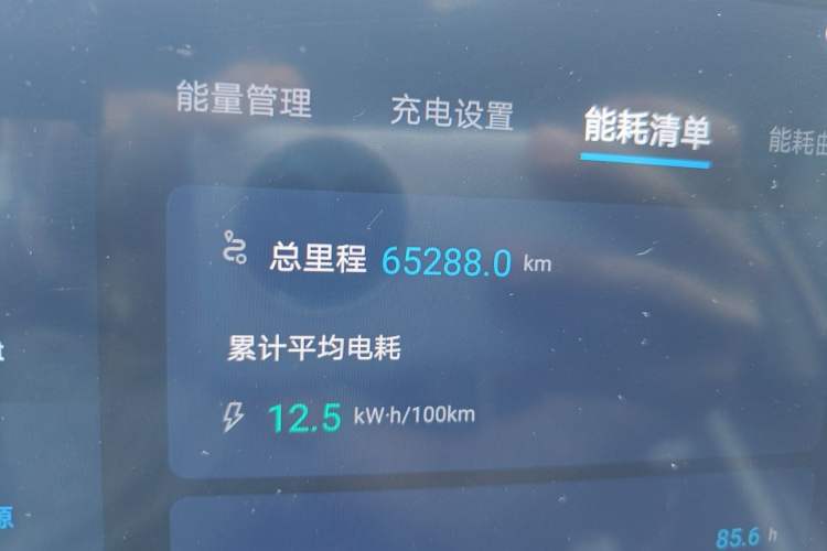 Used BYD Yuan PLUS 2024 Honor Edition 430KM Leading Model Odometer Close Up