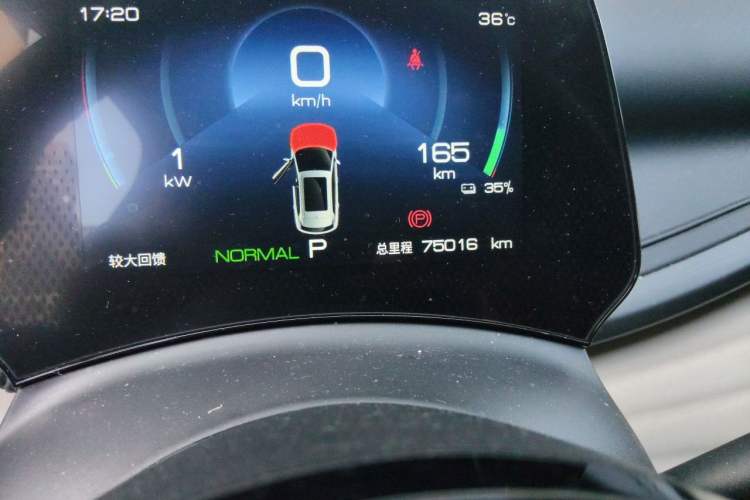Used BYD Yuan PLUS 2024 Honor Edition 510KM Leading Model Odometer Close Up
